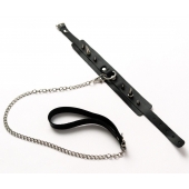 Черный ошейник с шипами и поводком - Crazy Handmade - купить с доставкой в Мурманске