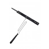 Кожаный двухслойный ошейник с белой строчкой и поводком - Pecado - купить с доставкой в Мурманске