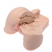 Мастурбатор-полуторс Naked Factory Kate - Naked Factory - в Мурманске купить с доставкой