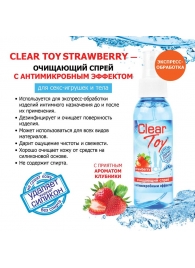 Очищающий спрей для игрушек CLEAR TOY Strawberry - 100 мл. - Биоритм - купить с доставкой в Мурманске