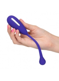 Фиолетовый шарик с электростимуляцией и вибрацией Intimate E-Stimulator Remote Kegel Exerciser - California Exotic Novelties - купить с доставкой в Мурманске