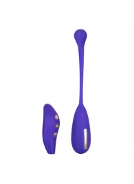 Фиолетовый шарик с электростимуляцией и вибрацией Intimate E-Stimulator Remote Kegel Exerciser - California Exotic Novelties - купить с доставкой в Мурманске