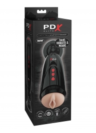 Мастурбатор-вагина с вибрацией Dirty Talk Starter Stroker - Pipedream - в Мурманске купить с доставкой