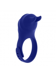 Синее эрекционное виброкольцо с клиторальной подушечкой и пультом ДУ Adjustable Fun Ring - Zero Tolerance - в Мурманске купить с доставкой
