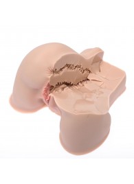 Мастурбатор-полуторс Naked Factory Kate - Naked Factory - в Мурманске купить с доставкой