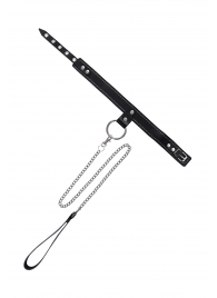 Черный узкий однослойный ошейник с серебристым поводком-цепочкой - Pecado - купить с доставкой в Мурманске