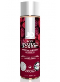 Лубрикант на водной основе с ароматом малины JO Flavored Raspberry Sorbet - 120 мл. - System JO - купить с доставкой в Мурманске