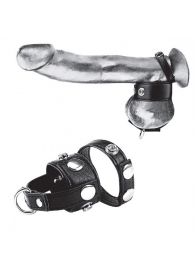 Утяжка для мошонки и пениса Cock Ring With 1  Ball Stretcher And Optional Weight Ring - BlueLine - купить с доставкой в Мурманске