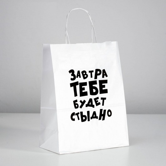 Подарочный пакет  Завтра тебе будет стыдно  - 30 х 24 см. - UPAK LAND - купить с доставкой в Мурманске
