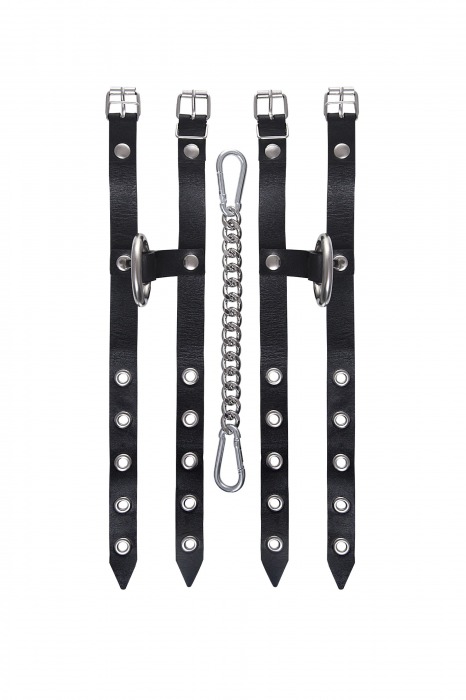 Черные однослойные кожаные оковы из двух ремешков - Pecado - купить с доставкой в Мурманске