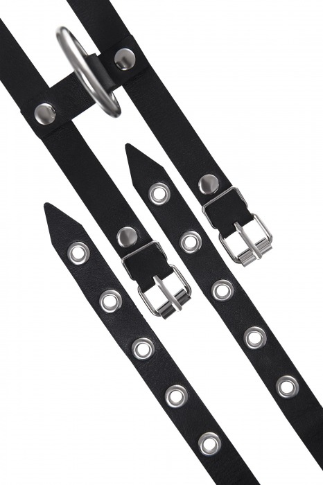 Черные однослойные кожаные оковы из двух ремешков - Pecado - купить с доставкой в Мурманске