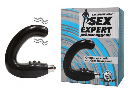 Чёрный массажёр простаты серии Sex Expert - Sex Expert - в Мурманске купить с доставкой