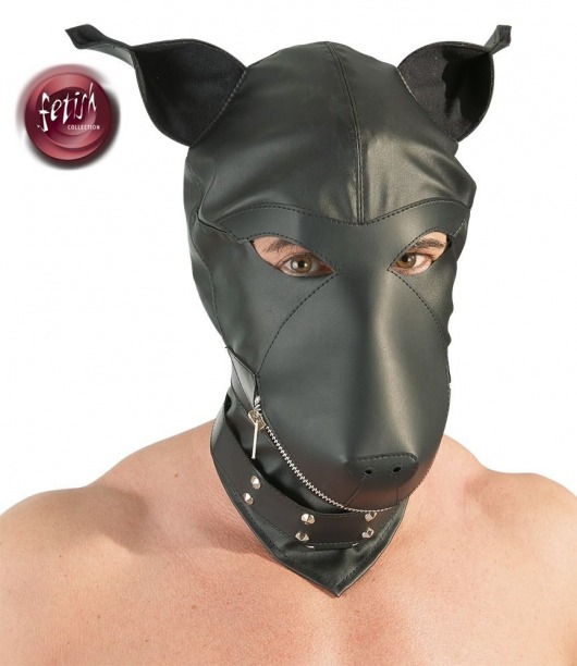 Шлем-маска Dog Mask в виде морды собаки - Orion - купить с доставкой в Мурманске