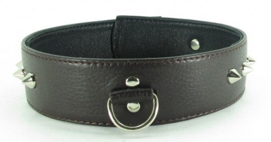 Коричневый кожаный ошейник с кольцом увеличенного размера - БДСМ Арсенал - купить с доставкой в Мурманске