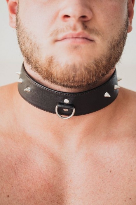 Коричневый кожаный ошейник с кольцом увеличенного размера - БДСМ Арсенал - купить с доставкой в Мурманске