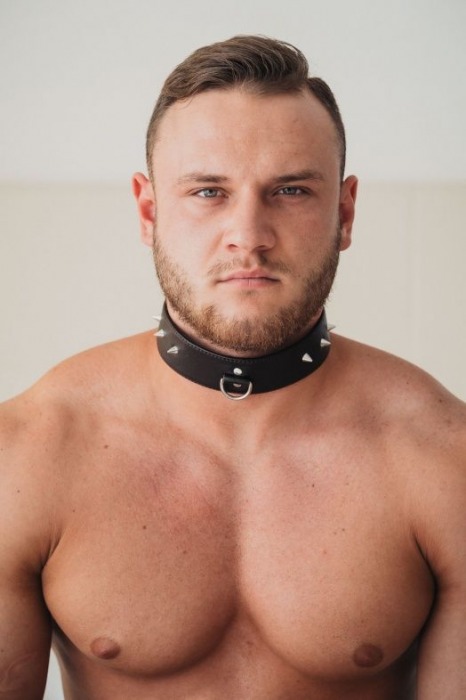 Коричневый кожаный ошейник с кольцом увеличенного размера - БДСМ Арсенал - купить с доставкой в Мурманске