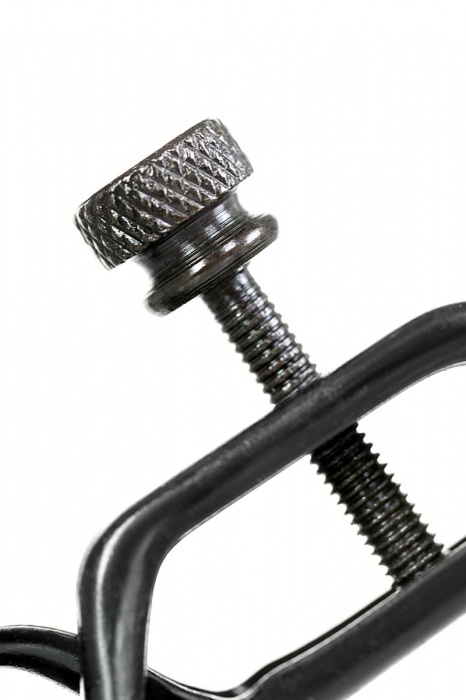 Черно-золотистые зажимы для сосков TOYFA Theatre - ToyFa - купить с доставкой в Мурманске